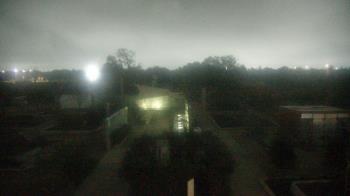 Weather camera view of Houston Botanic Garden.