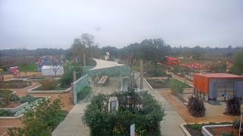 Weather camera view of Houston Botanic Garden.