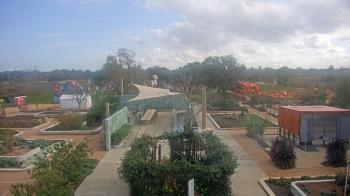 Weather camera view of Houston Botanic Garden.