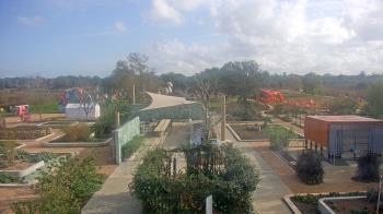Weather camera view of Houston Botanic Garden.