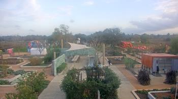 Weather camera view of Houston Botanic Garden.