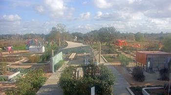 Weather camera view of Houston Botanic Garden.