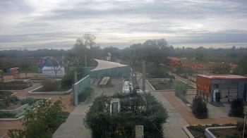 Weather camera view of Houston Botanic Garden.