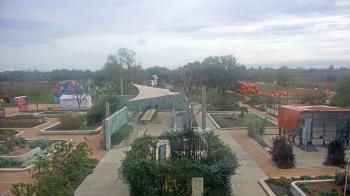 Weather camera view of Houston Botanic Garden.