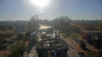 Weather camera view of Houston Botanic Garden.