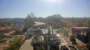 Weather camera view of Houston Botanic Garden.