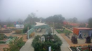 Weather camera view of Houston Botanic Garden.