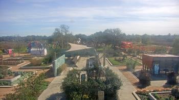 Weather camera view of Houston Botanic Garden.