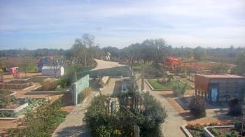Weather camera view of Houston Botanic Garden.