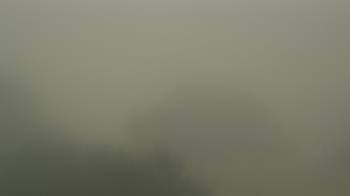 Weather camera view of Camp For All.