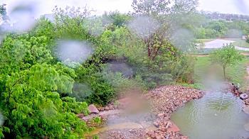 Weather camera view of Elise Walker Outdoor Learning Center.