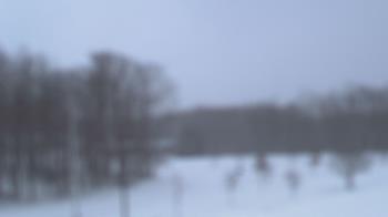 Weather camera view of Kane Area SD.