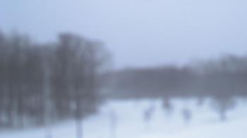 Weather camera view of Kane Area SD.