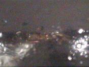 Weather camera view of Kettering MS.