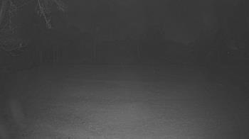 Weather camera view of Lagoon Park.