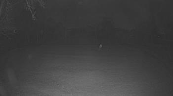 Weather camera view of Lagoon Park.