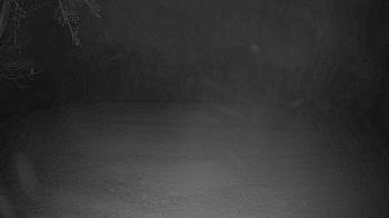 Weather camera view of Lagoon Park.