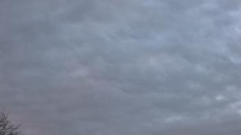 Weather camera view of The Lamplighter School.