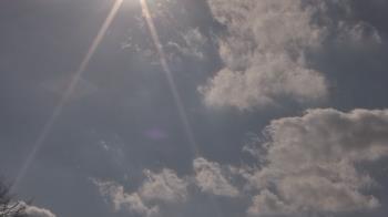 Weather camera view of The Lamplighter School.