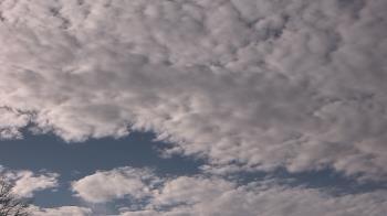 Weather camera view of The Lamplighter School.