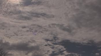 Weather camera view of The Lamplighter School.