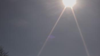 Weather camera view of The Lamplighter School.