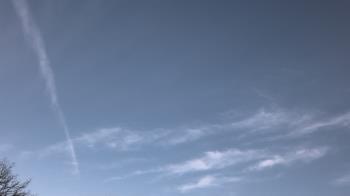 Weather camera view of The Lamplighter School.