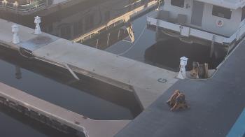 Weather camera view of Lake Powell Resorts and Marinas - Wahweap Marina.