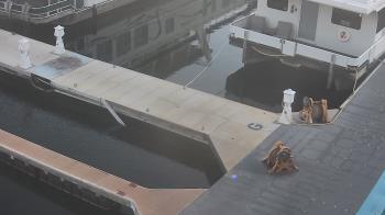 Weather camera view of Lake Powell Resorts and Marinas - Wahweap Marina.