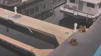 Weather camera view of Lake Powell Resorts and Marinas - Wahweap Marina.