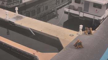 Weather camera view of Lake Powell Resorts and Marinas - Wahweap Marina.