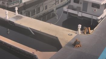Weather camera view of Lake Powell Resorts and Marinas - Wahweap Marina.