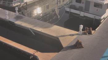 Weather camera view of Lake Powell Resorts and Marinas - Wahweap Marina.