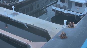 Weather camera view of Lake Powell Resorts and Marinas - Wahweap Marina.