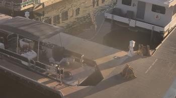 Weather camera view of Lake Powell Resorts and Marinas - Wahweap Marina.