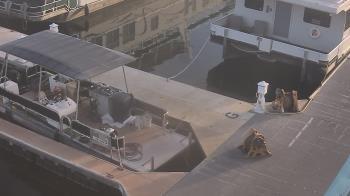 Weather camera view of Lake Powell Resorts and Marinas - Wahweap Marina.