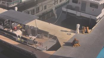 Weather camera view of Lake Powell Resorts and Marinas - Wahweap Marina.