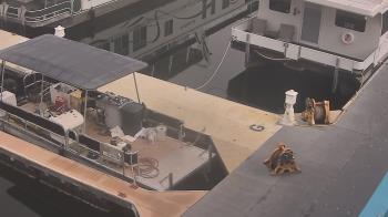 Weather camera view of Lake Powell Resorts and Marinas - Wahweap Marina.