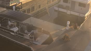 Weather camera view of Lake Powell Resorts and Marinas - Wahweap Marina.