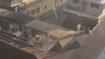 Weather camera view of Lake Powell Resorts and Marinas - Wahweap Marina.