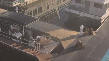 Weather camera view of Lake Powell Resorts and Marinas - Wahweap Marina.