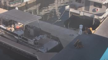 Weather camera view of Lake Powell Resorts and Marinas - Wahweap Marina.