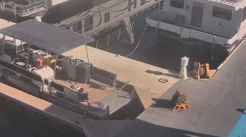 Weather camera view of Lake Powell Resorts and Marinas - Wahweap Marina.