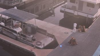 Weather camera view of Lake Powell Resorts and Marinas - Wahweap Marina.