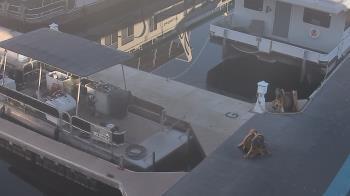 Weather camera view of Lake Powell Resorts and Marinas - Wahweap Marina.