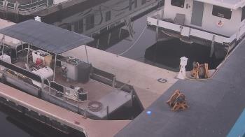 Weather camera view of Lake Powell Resorts and Marinas - Wahweap Marina.