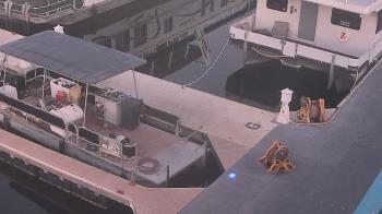 Weather camera view of Lake Powell Resorts and Marinas - Wahweap Marina.