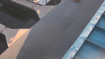 Weather camera view of Lake Powell Resorts and Marinas - Wahweap Marina.