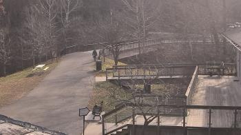 Weather camera view of Lake Roland Nature Council.