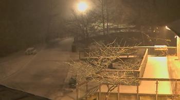 Weather camera view of Lake Roland Nature Council.